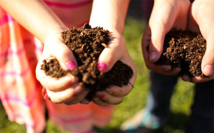 Two people holding the harvested compost with their bare hands.