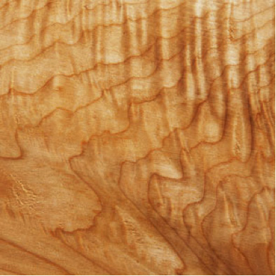 What Is Birds Eye Grain Definition, Is Birdseye Maple A Hardwood