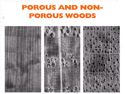 What is Non-Porous | Definition of Non-Porous