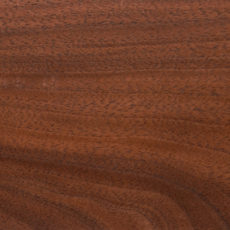 What is Walnut Wood? | Definition of Walnut Wood