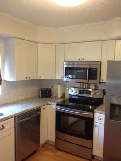 Ice White Shaker cabinets, photo 174