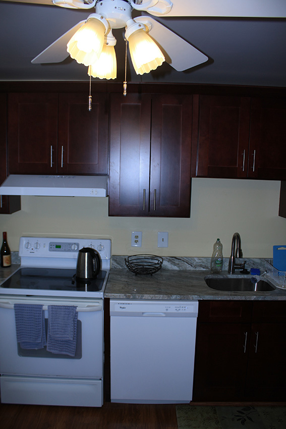 Mocha Shaker cabinets, photo 51